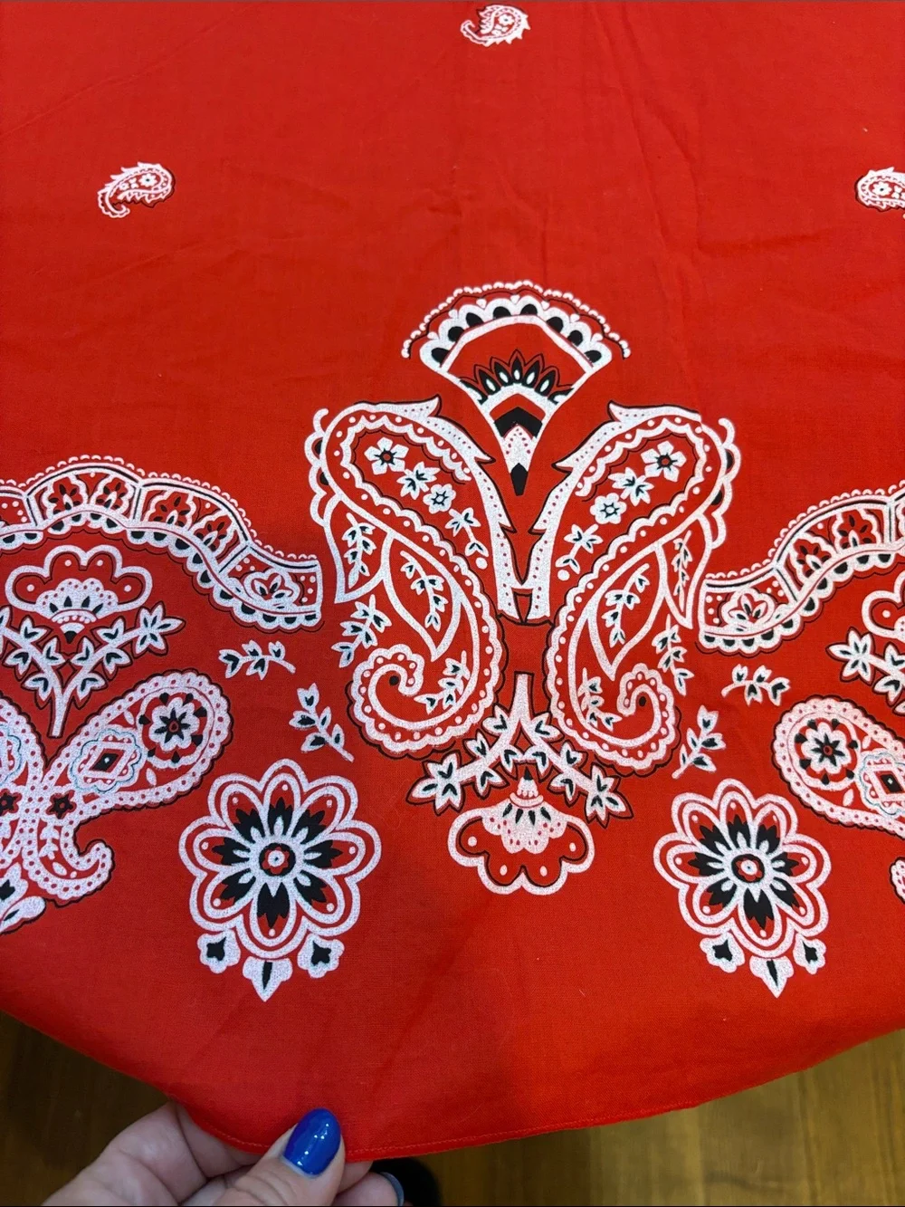 Red Paisley Tablecloth